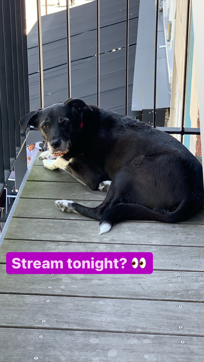 elkirystreams's tweet photo. ๐๐๐
#twitchaffiliate #TwitchStreamers #streamerdoggo https://t.co/JyQ57LSCVS