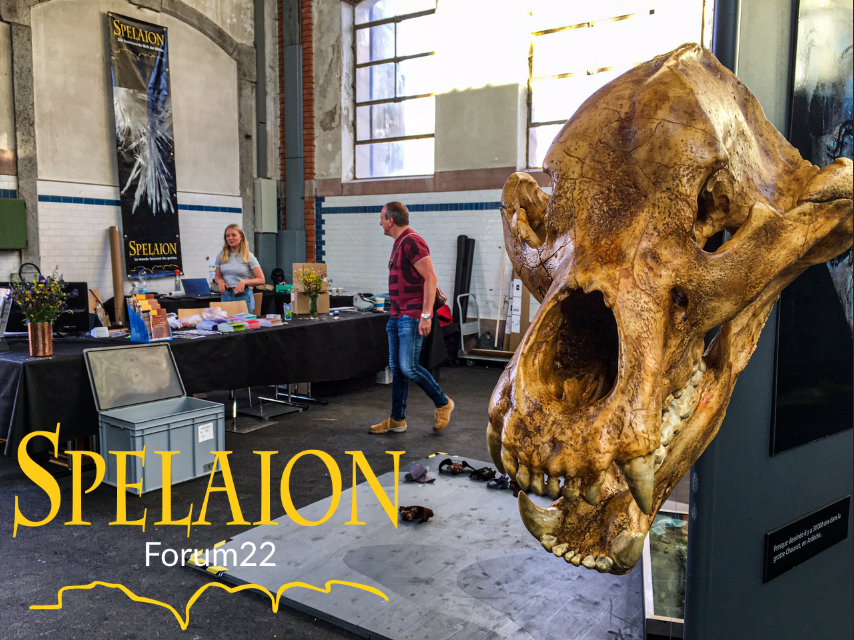 Isska_Siska's tweet photo. Des #Ours des #Cavernes aux Anciens Abattoirs!!! C'est maintenant au #SpelaionForum22, #2300lcf, #lachauxdefonds. https://t.co/W41eIJwEWM
