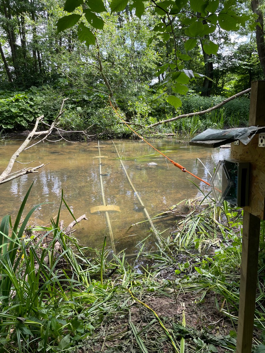 Olle Calles tweet media