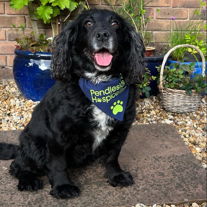 Pendleside Hospice tweet media