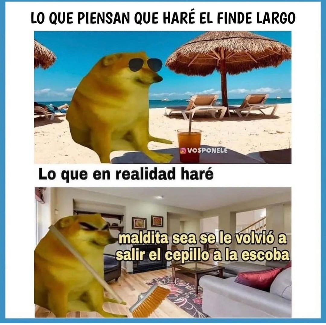 pol_ssz's tweet image. 🤔