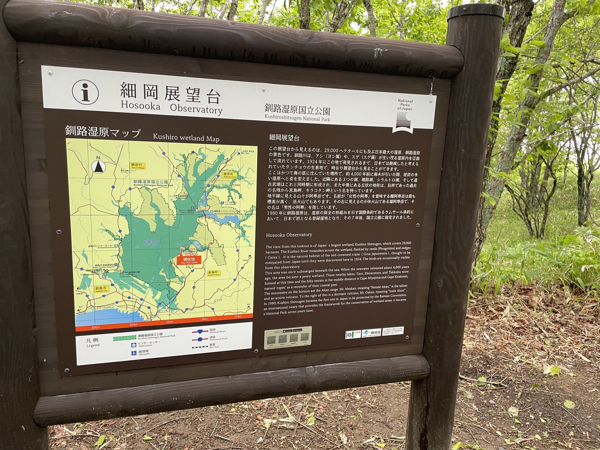 セナ 細岡展望台から釧路湿原を見る T Co T5gezukken Twitter