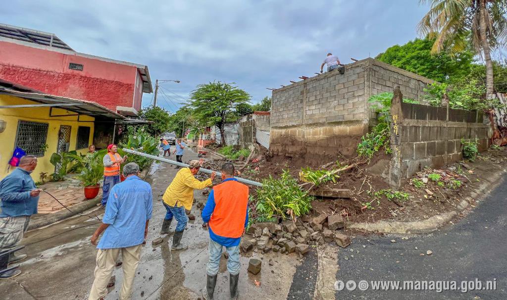 alcaldia_mga's tweet photo. 👷🏾‍♂️Debido a las #constantes #lluvias de los últimos días hemos tenido #incidencias con árboles caídos, algunos muros colapsado y afectación en la red vial el cual hemos #atendido #inmediatamente.

#Invierno2022
#ManaguaProgresoYVictorias https://t.co/pUl7cjVp4k