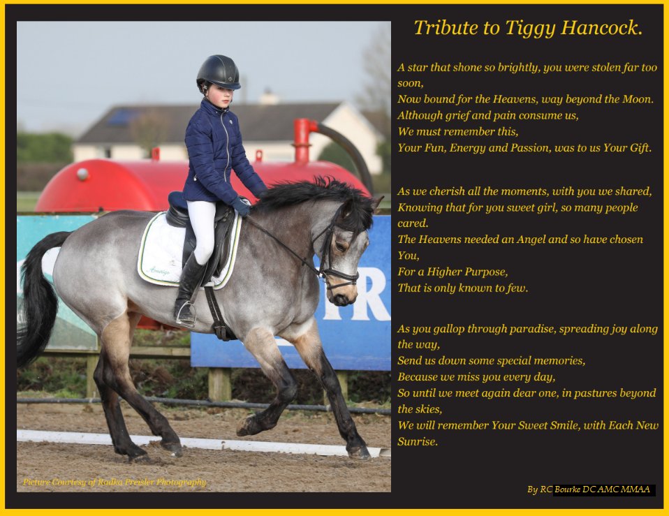 MagazineIrish's tweet image. One Year Gone, But Not Forgotten. Remembering Tiggy Today💛💛💛