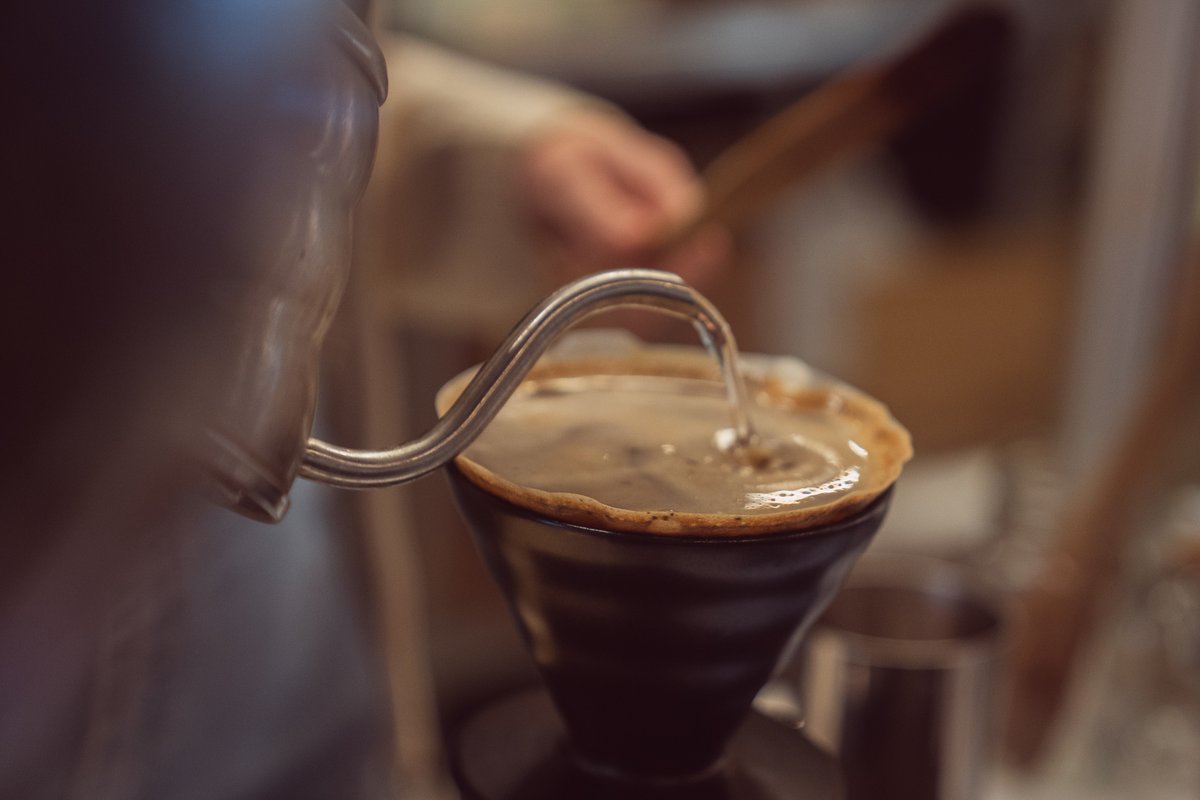 brewtoledo's tweet photo. The power is back on and we've got some delicious things brewing!

For the pour-over lovers, which is your favorite? 👇

#craftcoffee #pourover #v60 https://t.co/XAlwAxvJoV
