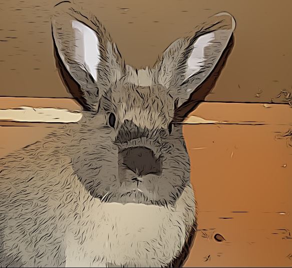 JackDRabbit2's tweet image. Where do monkeys go to get their fast food?
Burger Kong!!