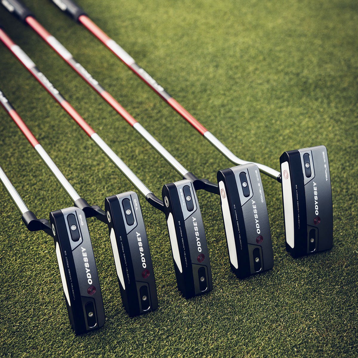 Pete Pappas tweet media