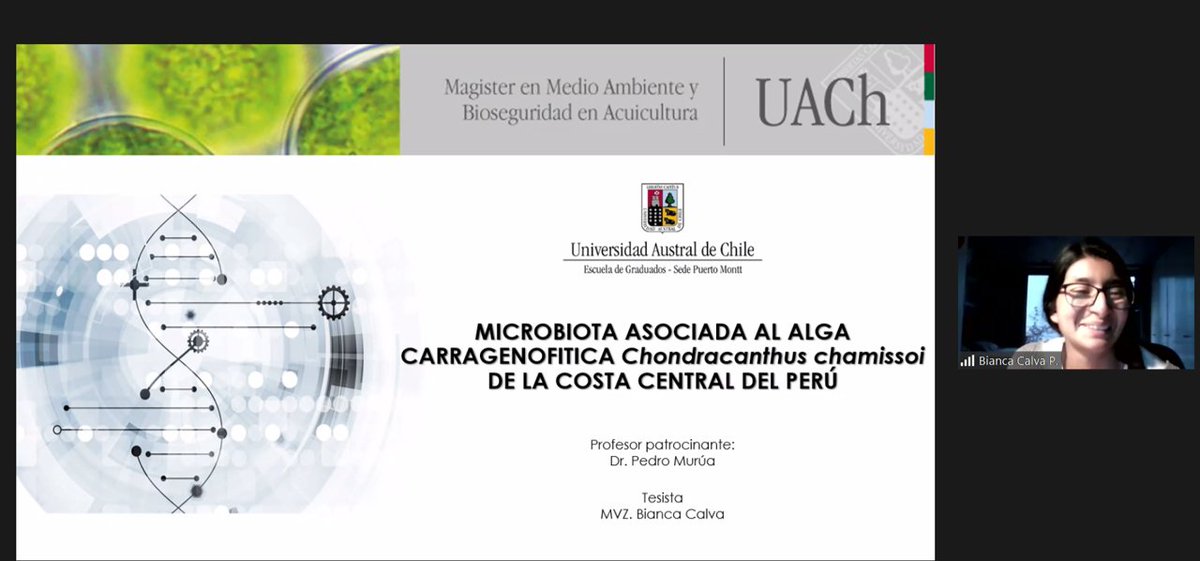 El dia de ayer, nuestra alumna Bianca Calva defendió exitosamente su anteprotecto tesis <a href="/MabaUach/">Mg. en Medio Ambiente y Bioseguridad Acuicultura</a> de <a href="/SedeUACh/">Sede Pto. Montt UACh</a>, el que busca caracterizar el microbioma de #Chodracanthus chamissoii de #Peru usando herramientas metagenomicas. Felicidades Bianca!