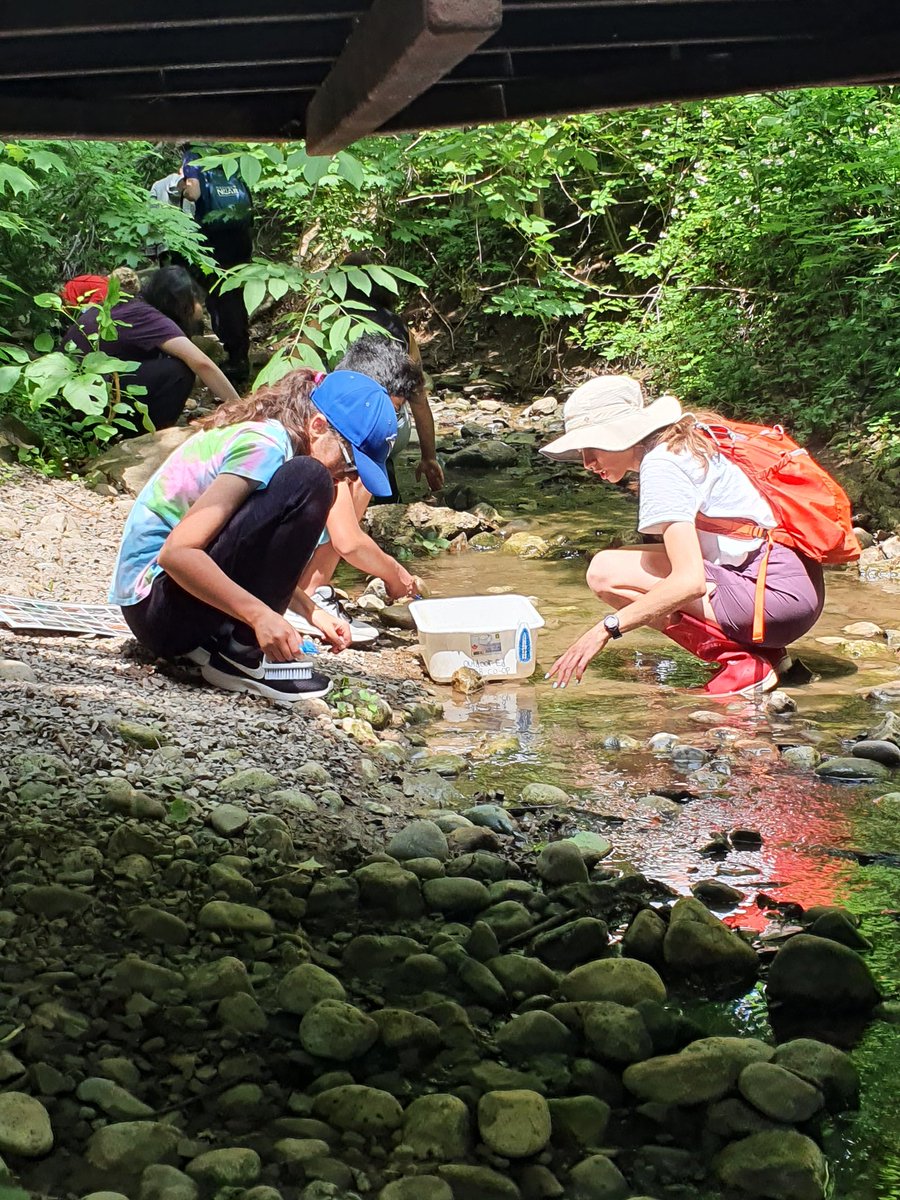 Tracy Terry tweet media