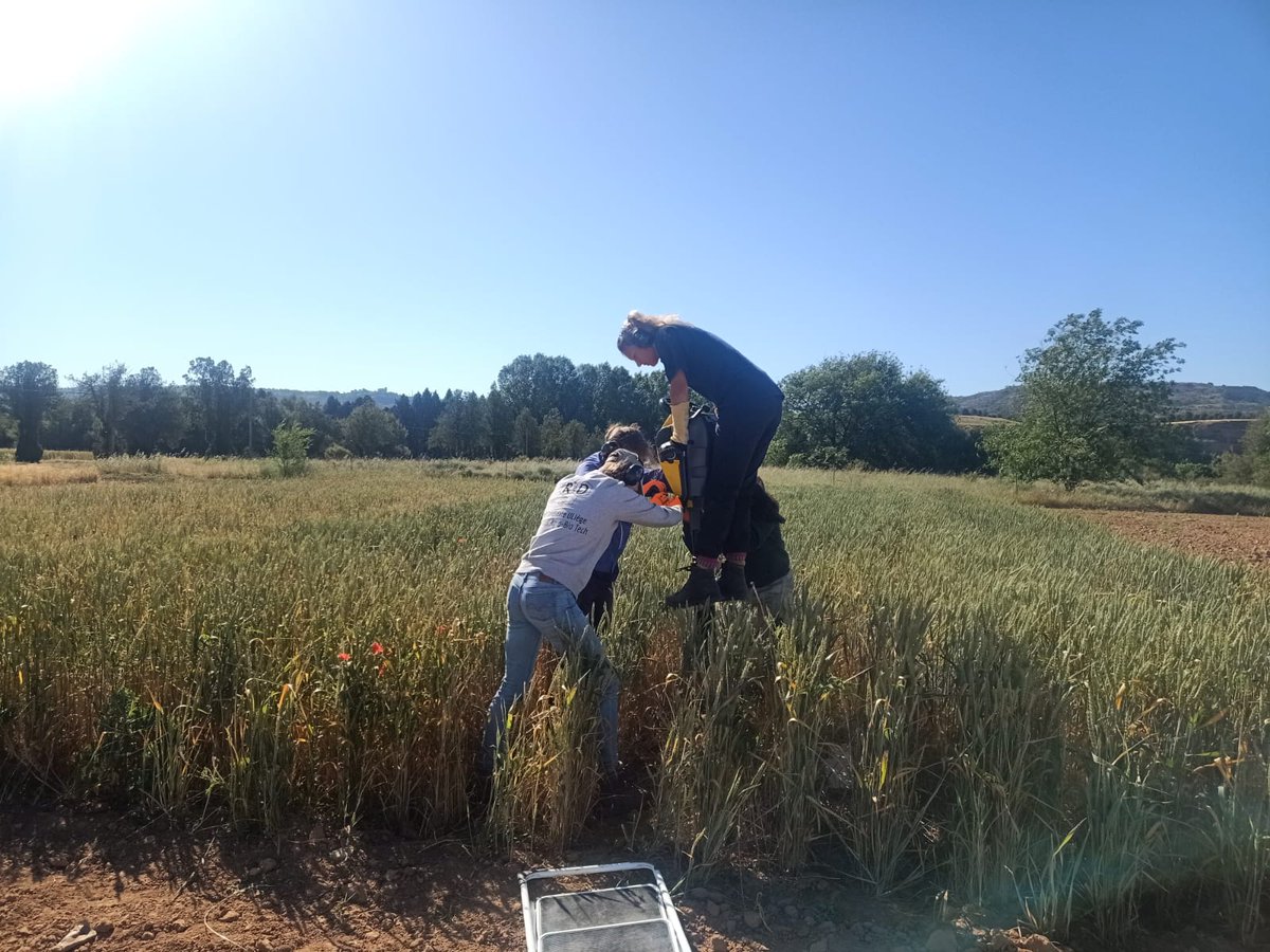 Our field station #INIA_LaCanaleja was sampled in the BIOFAIR Eurotour 2022! With our colleagues from @UniversiteLiege we are looking for management practices to mitigate #ClimateChange effects on soil health. Check it here! 
biofair.uliege.be
@INIA_es 
@CSIC