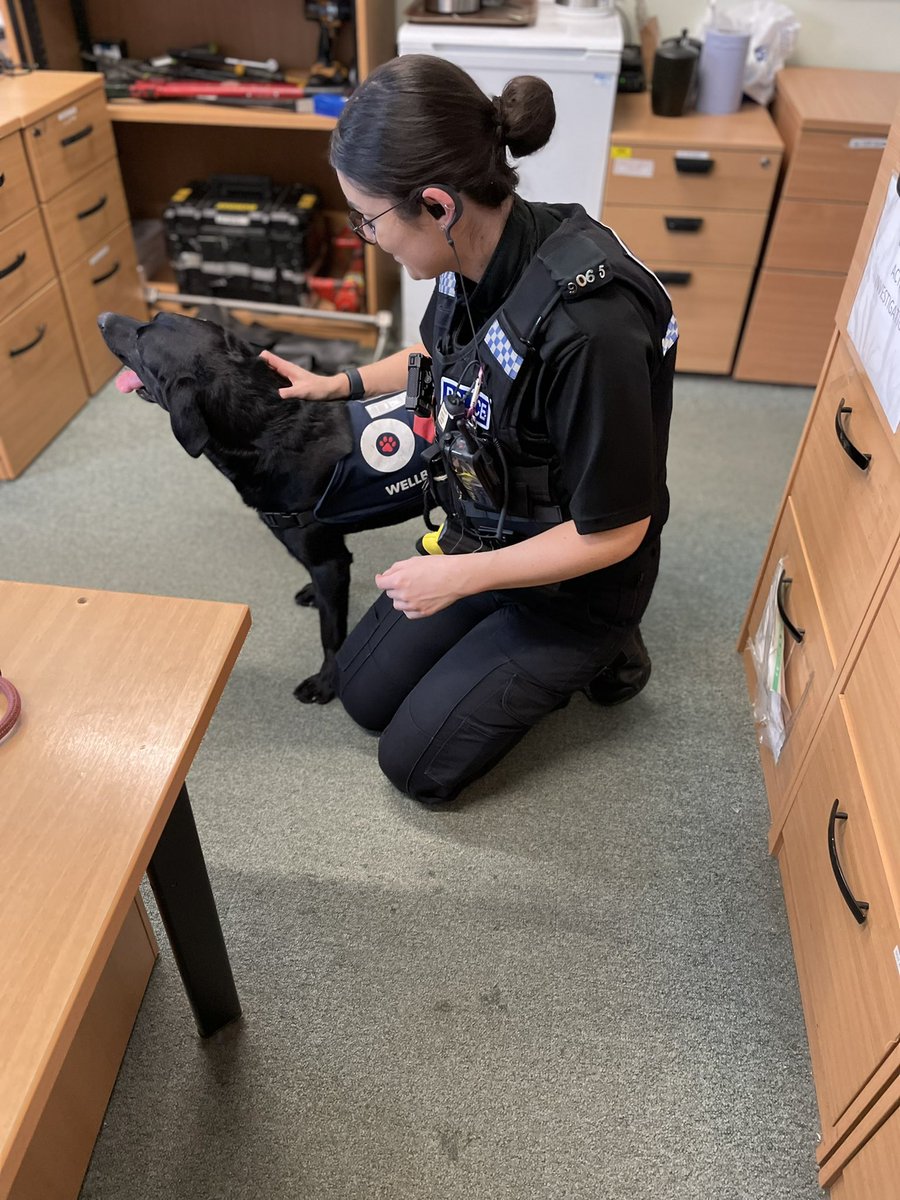 Durham Constabulary OK9 Wellbeing and Trauma Dogs tweet media