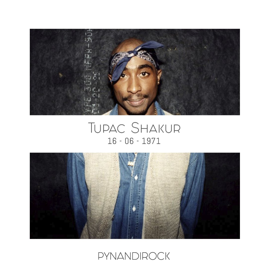 PynandiRock tweet media