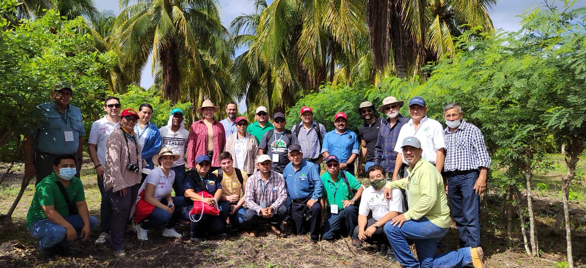 El trabajo en cooperación Bilateral Técnica y Científica con Centroamérica y el Caribe para el uso de prácticas agroecológicas en cultivo de coco es fundamental para lograr una producción sostenible en cocoteros.🥥🥥🥥🥥🇲🇽🇨🇺 <a href="/AMEXCID/">AMEXCID</a> <a href="/inifap/">INIFAP</a>
