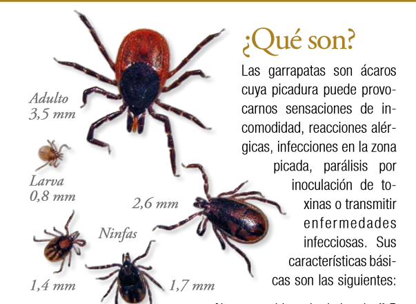 Llega el verano, época de campo y también de garrapatas. 
A través del correo del instituto de mi hija <a href="/IESCosmeGarcia/">Cosme García</a> me llega este folleto de información que veo muy completo acerca de su prevención y tratamiento via <a href="/riojasalud/">Riojasalud.es</a> 
Muy interesante 👇
riojasalud.es/files/content/…