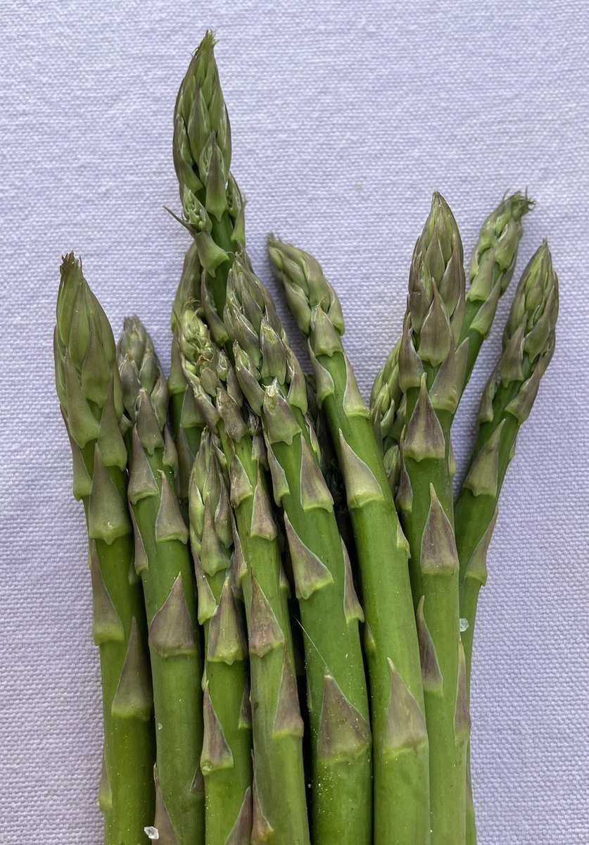 As tradition dictates: UK seasonal Asparagus runs from St. George’s day to the Summer solstice. So this is the last week folks!  We’ve sold a wapping 0.4 tonnes of the local gem. That’s a lot of fragrant wee!  #Asparagus #seasonal #Local #Food #Dorking #Surrey #UK