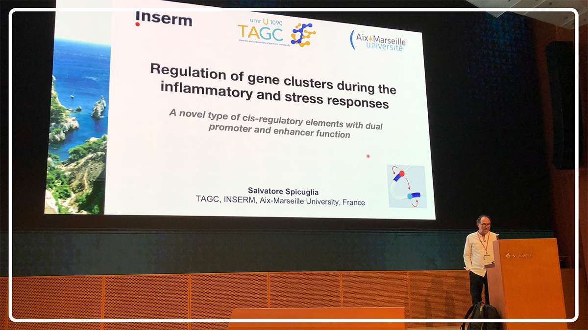 enhpathy_H2020's tweet photo. @S_Spicuglia talking about #Epromoter at the @Novartis Institutes for BioMedical Research #NIBR in Basel, partner of @enhpathy_H2020
@NovartisScience #enhancers #enhanceropathies @MSCActions https://t.co/tx8kracZgK