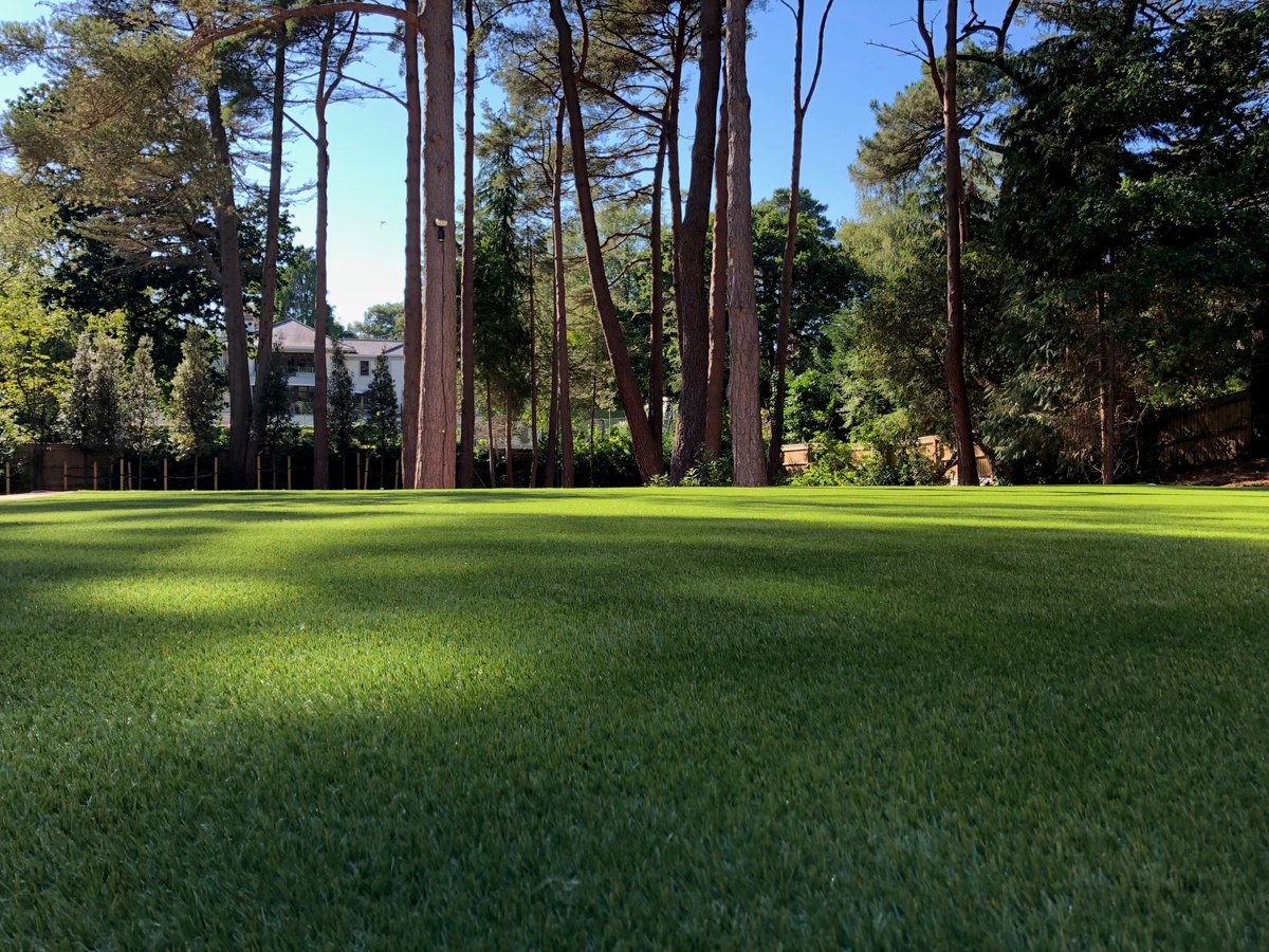 Perfectly Green Artificial Grass tweet media