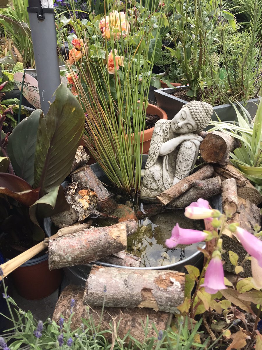 MarksGREENTEAM's tweet photo. Water feature turned mini wildlife pond after the amazing workshop hosted by @climate_ambass and @collieennis Only a couple of days in and it’s already attracting a lot of interest by insects #ClimateEmergency #rewilding #wildlife https://t.co/HseGc4XvOv
