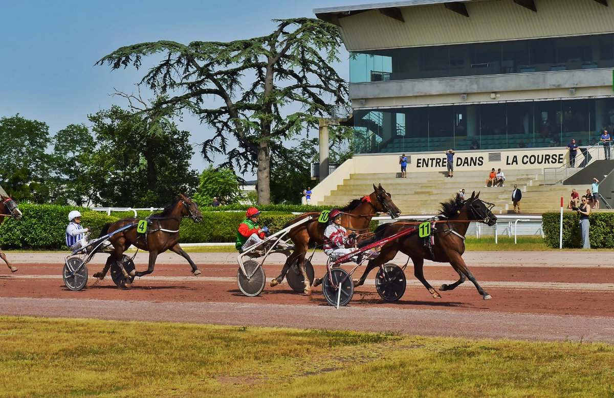 LeTrot's tweet photo. 👀 Suivez et participez aux ventes aux enchères des 48h d'Angers sur le site @ArqanaTrot 

🔗 https://t.co/r993MNz01w https://t.co/31eOQOwu1R