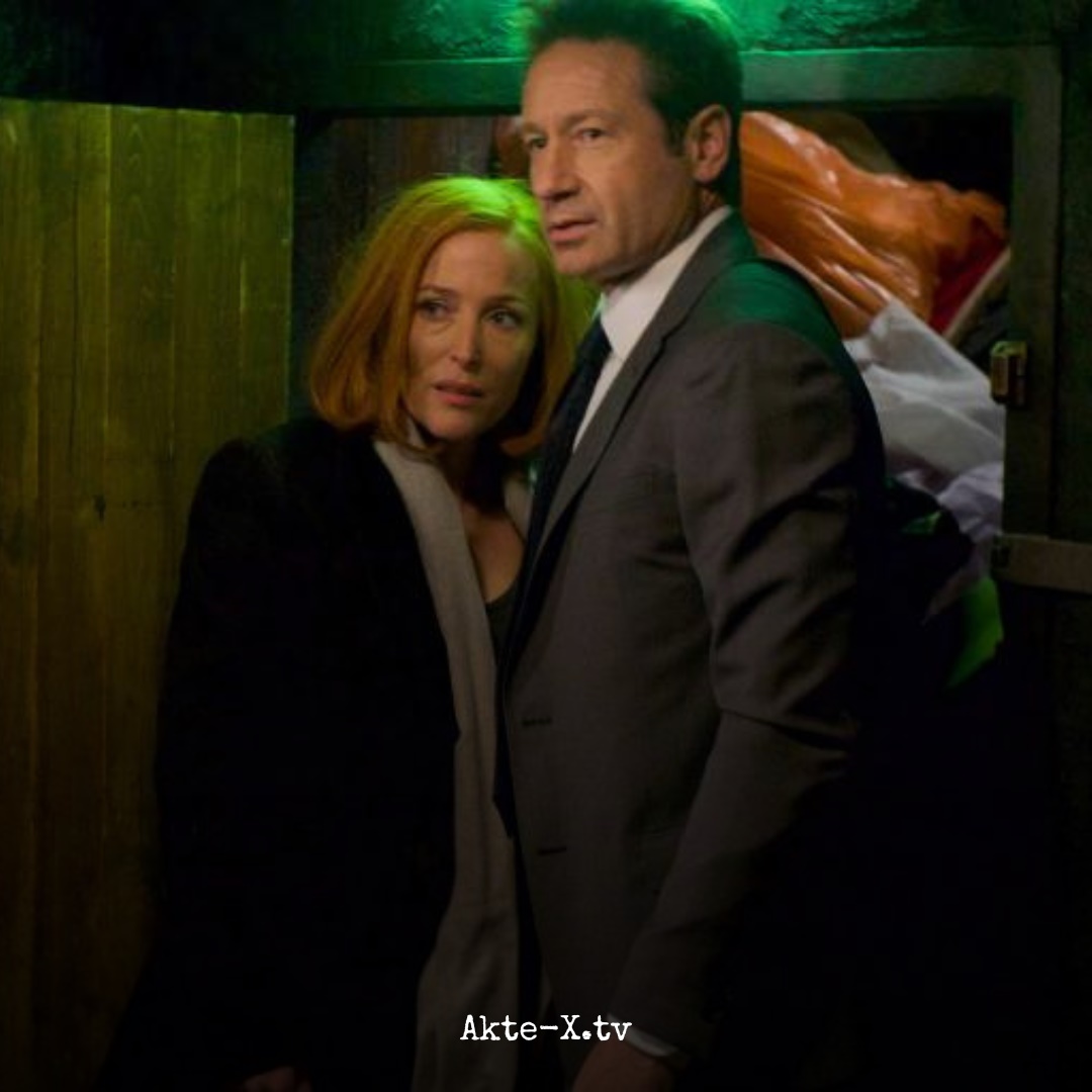 akteXtv's tweet photo. Scully und Mulder ist kein Ort zu unheimlich.

#aktex #xfiles #thexfiles #mystery #gilliananderson #davidduchovny #scully #mulder #mulderandscully #x #tv #xfilesforever
© 2016 Fox and its related entities. All rights reserved. https://t.co/uesGla1sUs
