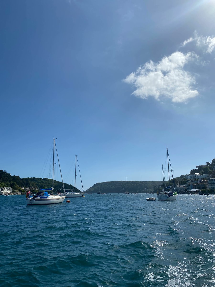 Exploring the Salcombe-Kingsbridge Estuary in the sunshine ☀️⛵️