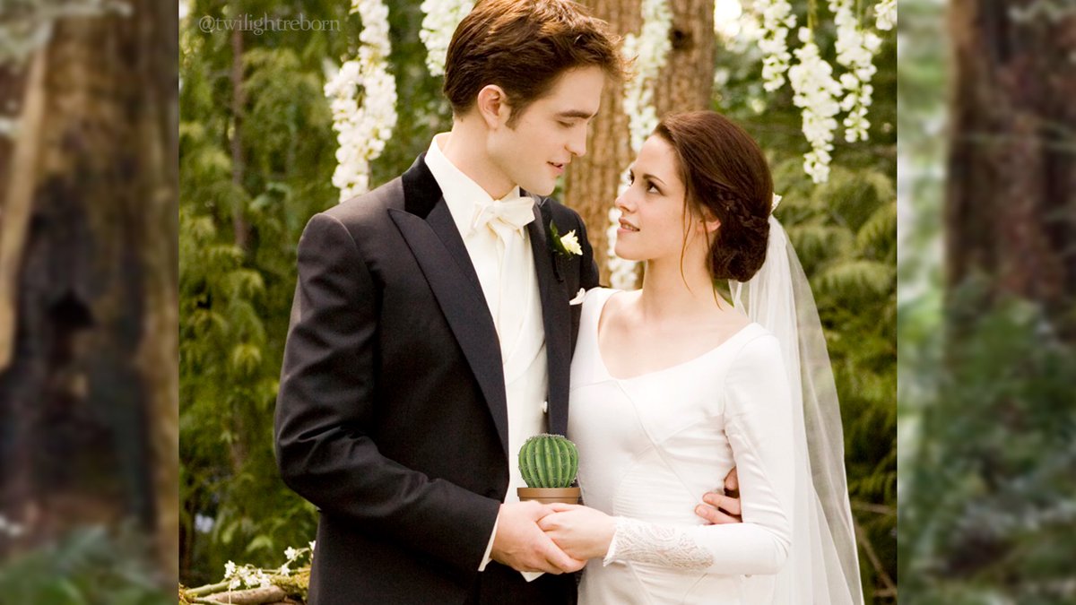 twilightreborn tweet picture
