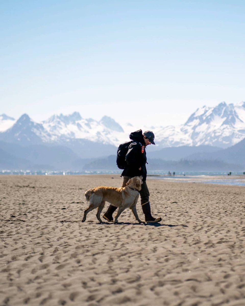 VisitHomer's tweet photo. The dog days of summer are here! 🐶  What's on your bucket list this year?

📸: @jrod.visuals https://t.co/DIKg4jU2N6