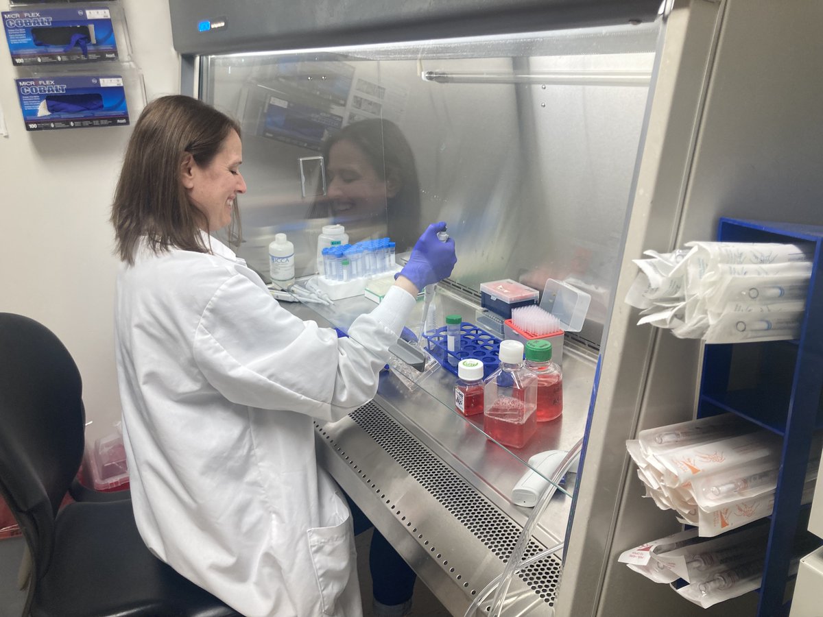 We recently showed that T cells are also using lymphatic vessels to get out of tumors. Yes… the cells that should kill tumors, leave! 

What if we could block their exit route? 

Data from postdoc <a href="/MariaMSteele20/">Maria Steele</a> indicates this might improve response to immunotherapy.