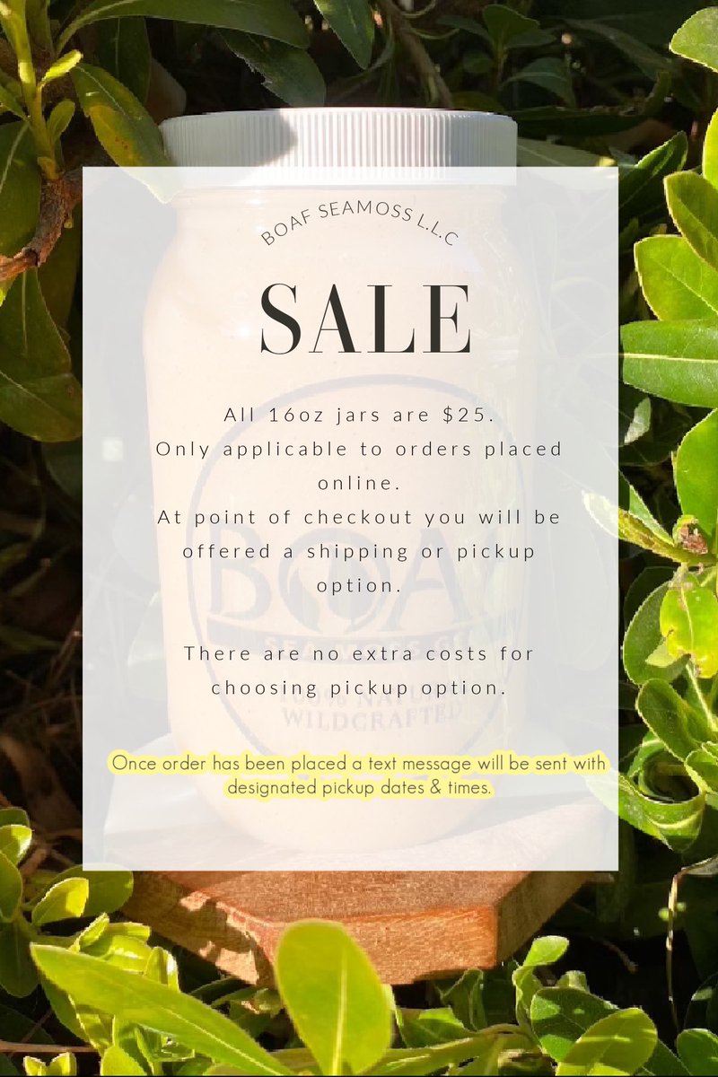 Catch it while it’s still here🫶🏼

🌱Order online for pickup 

🌱Website link in our bio🌱