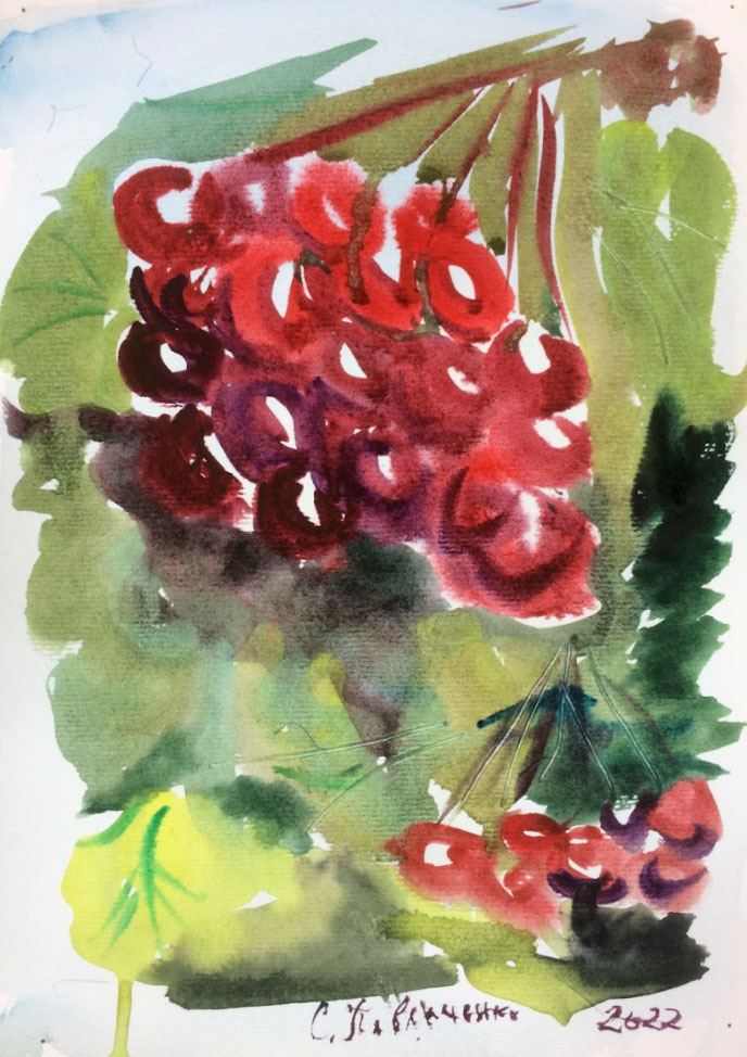 kiosipavel's tweet photo. #watercolor #калина https://t.co/tdBl44ozOu