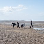 Photo by Whitstable Biennale (@WhitBien)