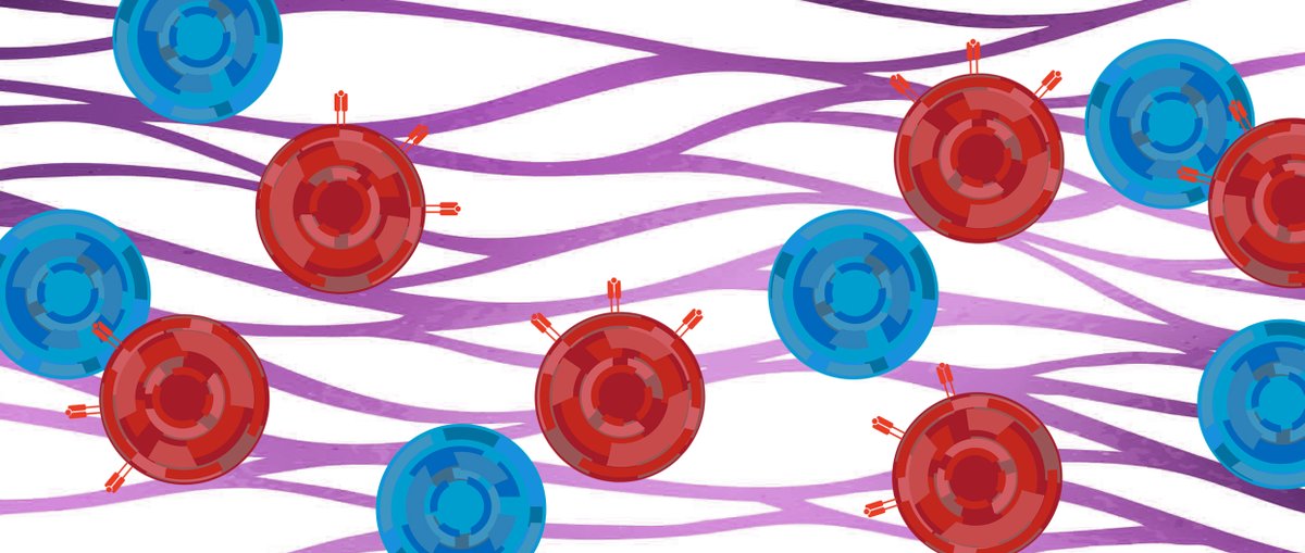 From the June issue: Integrated Multiomic Profiling Identifies the #Epigenetic Regulator PRC2 as a Therapeutic Target to Counteract #Leukemia #ImmuneEscape and Post-Transplantation Relapse, by <a href="/GambacortaV/">Valentina Gambacorta</a>, <a href="/DiMiccoLab/">Raffaella Di Micco</a>, <a href="/vago_luca/">Luca Vago</a> et al.
bit.ly/3HxkOJq
<a href="/SanRaffaeleMI/">Ospedale San Raffaele</a>