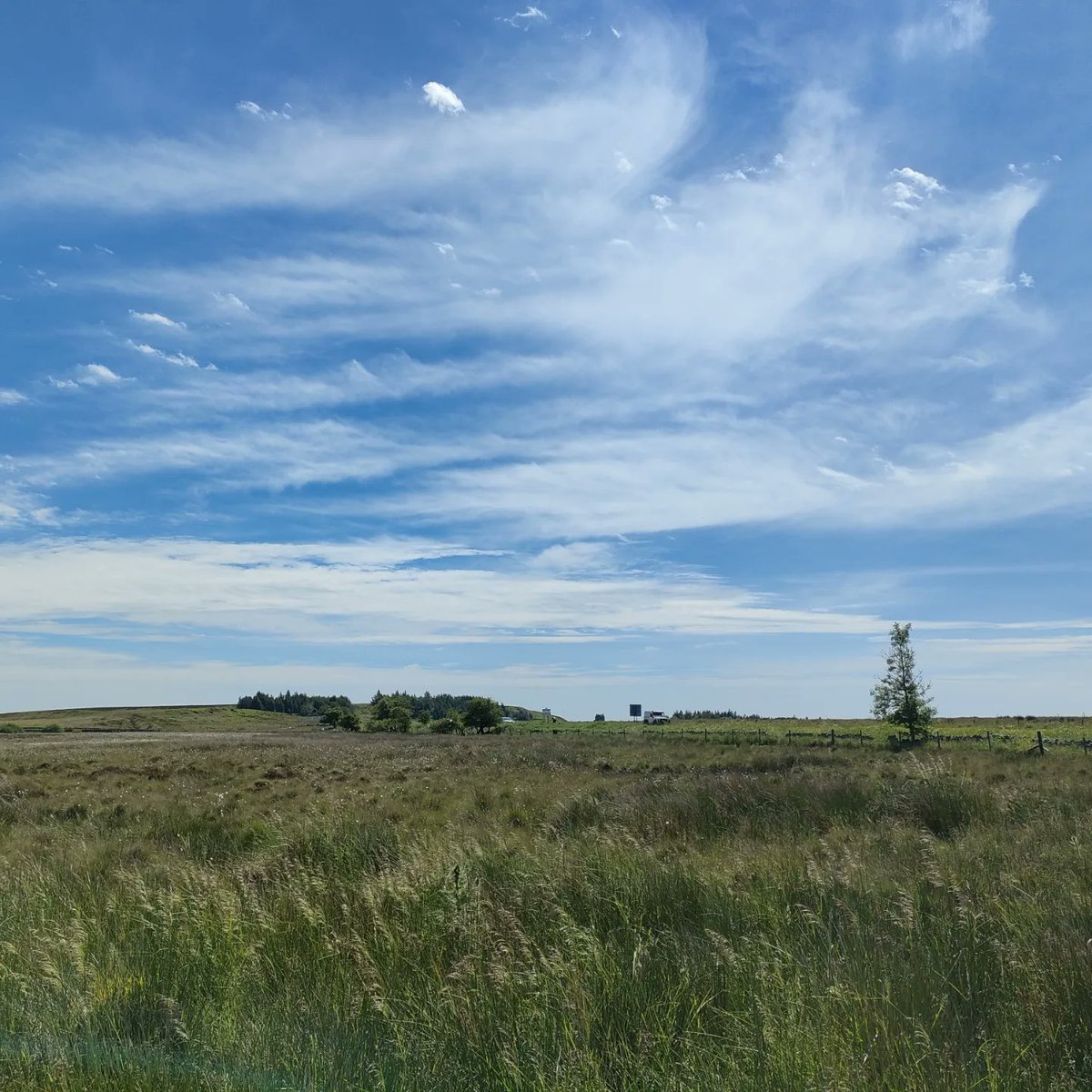 connections78's tweet photo. Patterns in the sky as I went by...
#30dayswild #30dayswild2022 #natureconnectedness #natureconnection https://t.co/dwBmVhDist