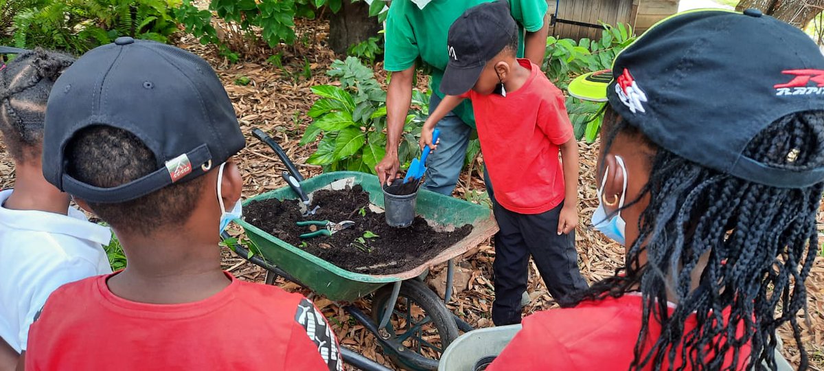 Les élèves de #BaiedesTourelles #REP+ #Dillon 2 réalisent des plantations au #jardin #ATOUMO en #partenariat avec l'association Acsion Services pour leur projet #Sante  et #alimentation. <a href="/acmartinique/">Académie de Martinique</a> <a href="/EPrioritaire972/">Edu_Prioritaire972</a> <a href="/fdfville/">Fort-de-France Ville</a> <a href="/CircoFdF1/">Circo FORTdeFRANCE 1</a>