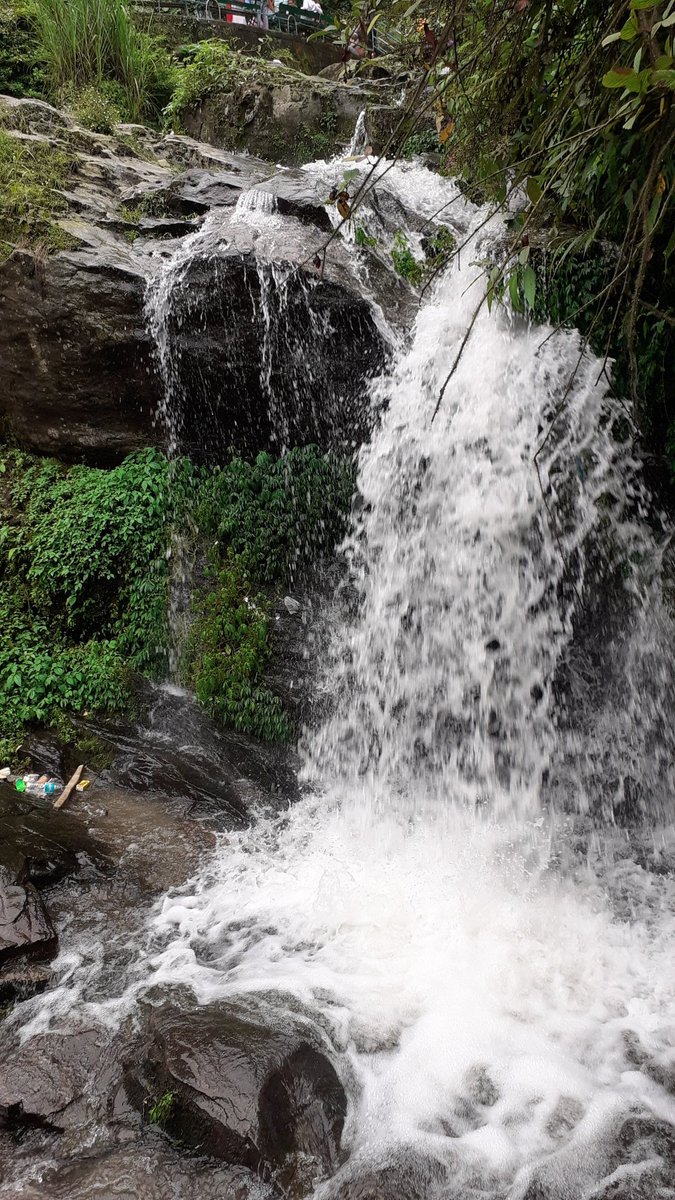 MiholiaR's tweet photo. Near to nature https://t.co/kN46VnKtTm