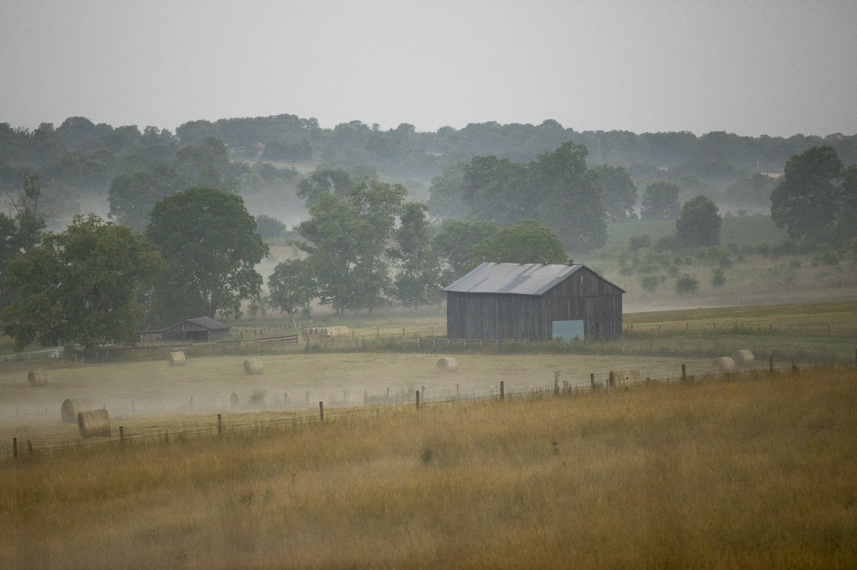 Morning haze near Ruddels Mill, Kentucky. <a href="/heraldleader/">Lexington Herald-Leader</a>
