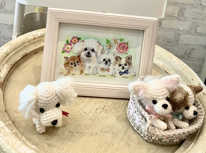 チワワのtwitterイラスト検索結果