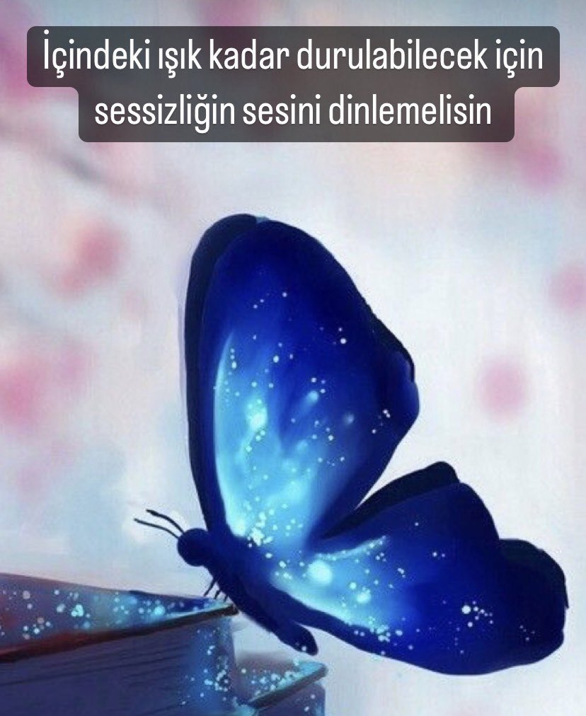 İçindeki ışık kadar durulabilmel için sessizliğin sesini dinlemelisin #içhuzur #içselyolculuk #yaşamkoçu #mucizesensin