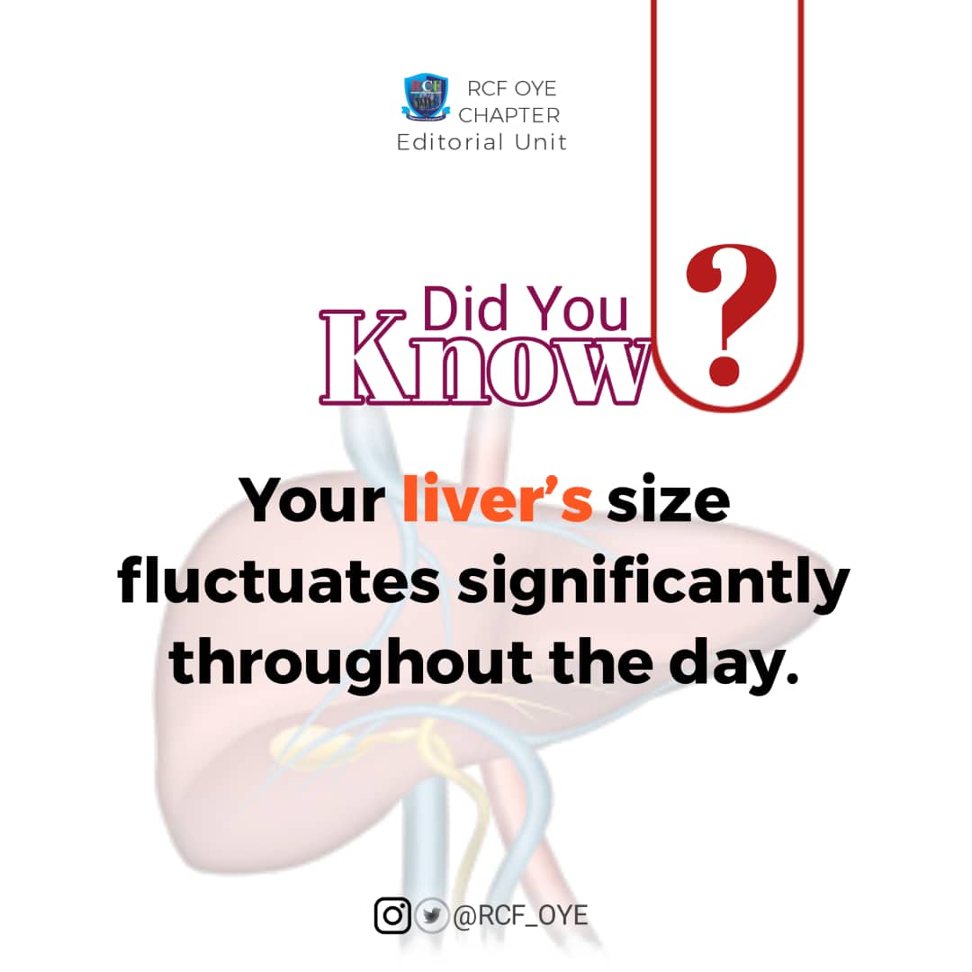 rcf_oye's tweet photo. Do you know?
Our liver has the ability to regenerate itself. New research suggest that the liver increases in size by nearly half it's size over the course of a day.
You can read the published research here: https://t.co/Dth3m7cNNZ
#Rcfoye
#Editorialunit
#Weeklynuggets https://t.co/RIkLkVbN4P