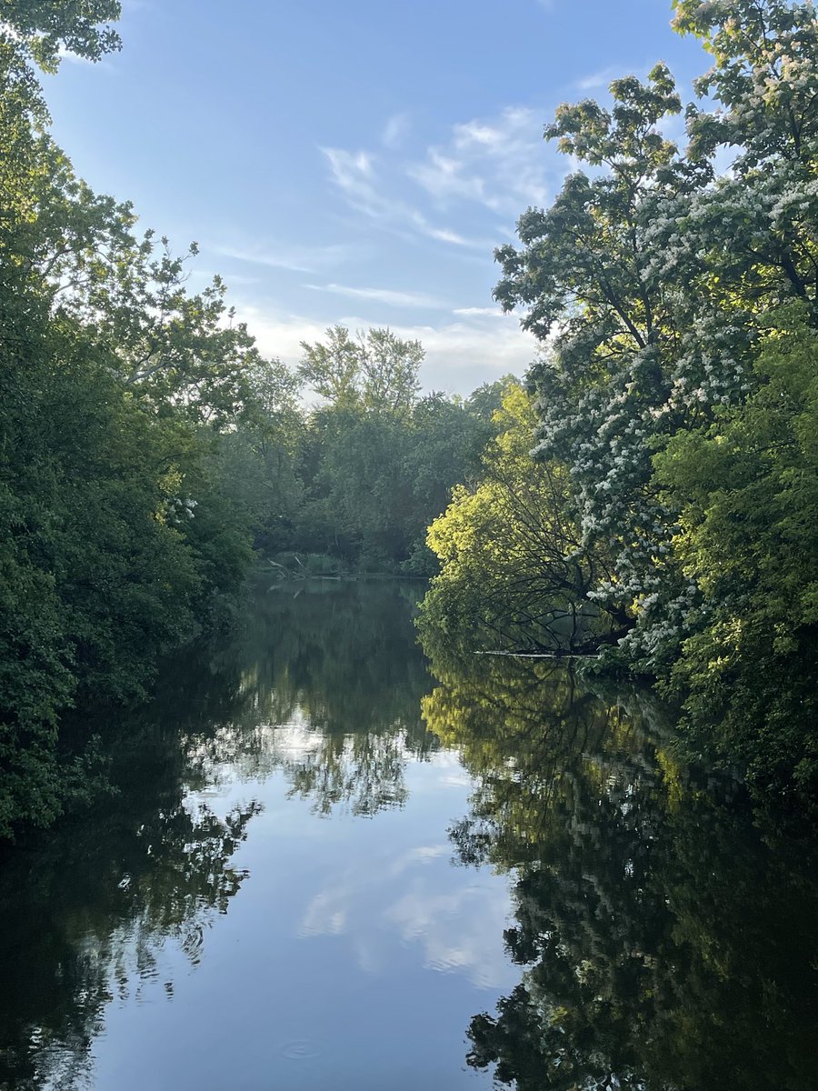 MJCollinsMD's tweet photo. After yesterday‘s heat and last night’s storm, a beautiful morning for a run.
#WritingCommunity
#AllBleedingStops
#medtwitter
#orthotwitter
#running
#medbookclub
#historicalfiction https://t.co/O5jZuOgUzi
