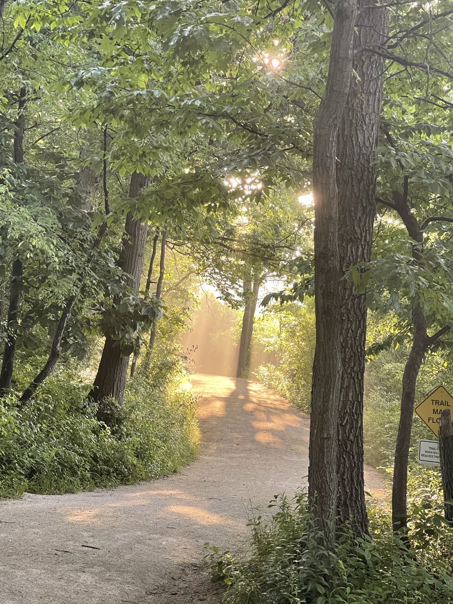 MJCollinsMD's tweet photo. After yesterday‘s heat and last night’s storm, a beautiful morning for a run.
#WritingCommunity
#AllBleedingStops
#medtwitter
#orthotwitter
#running
#medbookclub
#historicalfiction https://t.co/O5jZuOgUzi