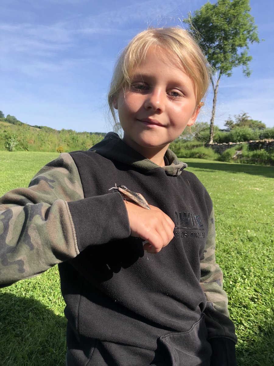 Shallowford Farm tweet media