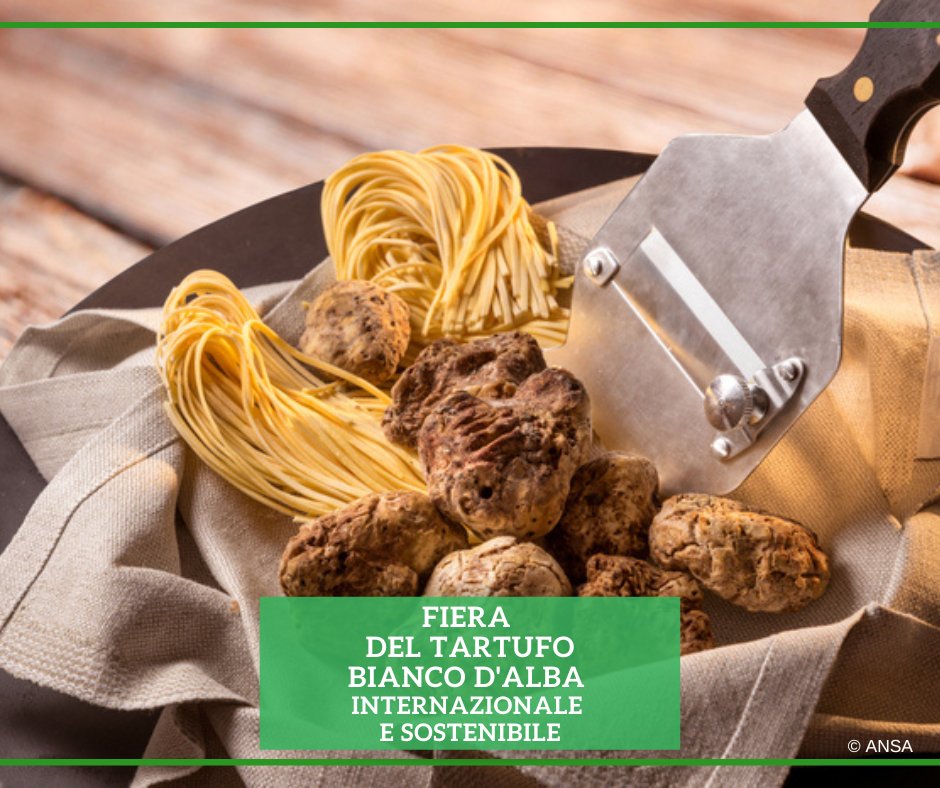 Ansa_TerraGusto's tweet photo. Internazionalità e sostenibilità sono i due temi che guideranno la 92a Fiera del #Tartufo Bianco d'Alba, che alzerà il sipario l'8 ottobre.
Le principali novità sono state al centro della presentazione a Milano.
#ANSATerraGusto
➡ https://t.co/oC0z01kXHc
#albatruffle https://t.co/62cngIIepG