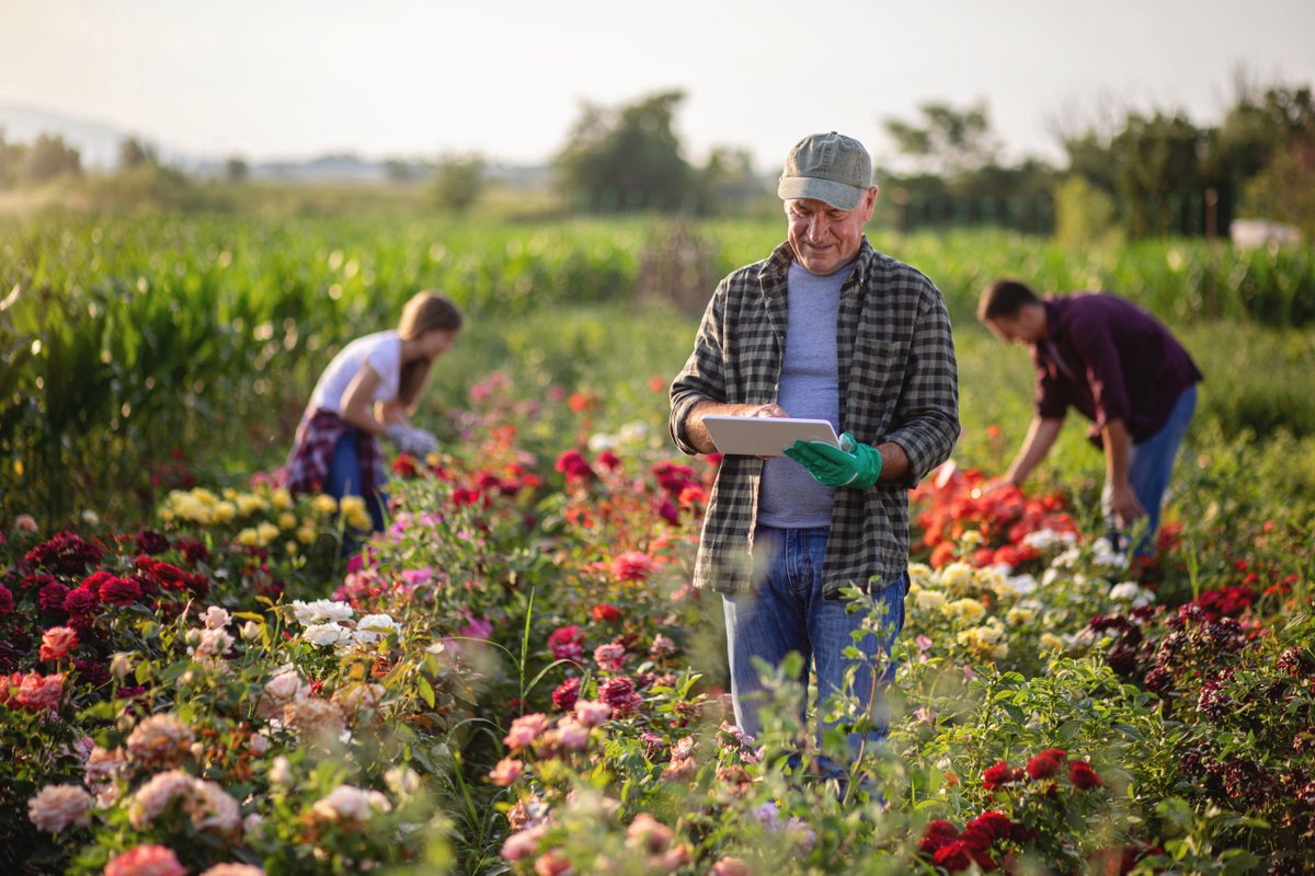 AARPresearch's tweet image. Does #TechUse 👩🏽‍💻 differ by location? The 50+ population in urban and rural parts of the U.S. show similar #tech tendencies in ownership rates and comfort levels, while suburbanites tend to feel more comfortable with #technology in general: spr.ly/6012zdDmQ