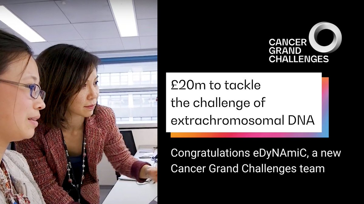 Extrachromosomal DNA (ecDNA) are small rings of DNA that help tumours evolve and evade treatment. 

The eDyNAmiC team will look at ways to interfere with ecDNA, slow down tumour development &amp; ultimately bring hope to patients whose cancers have become resistant to treatment.

4/6