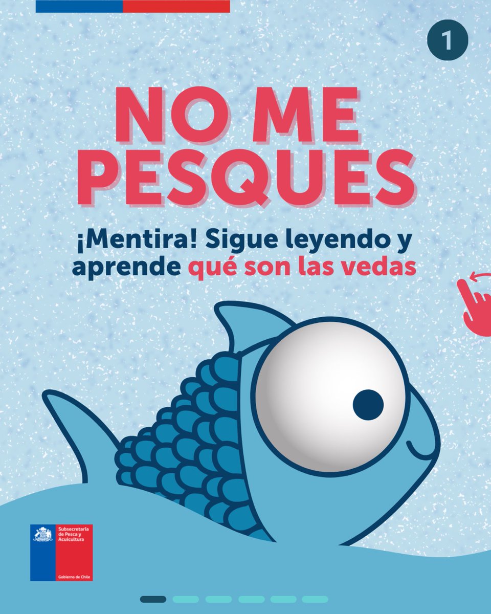 SubpescaCL's tweet photo. ¿Qué son las vedas? 🤔

¡En este hilo te explicamos qué son y cómo se aplican! 👇

#SubpescaTeEnseña🤓 https://t.co/5rZuwq6kdw