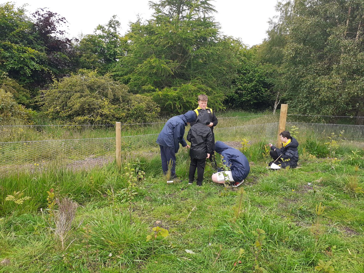 greenspacetrust's tweet photo. @wlStThomas pupils measuring the carbon of their local #weeforest in addiewell https://t.co/2oMBINgmw0