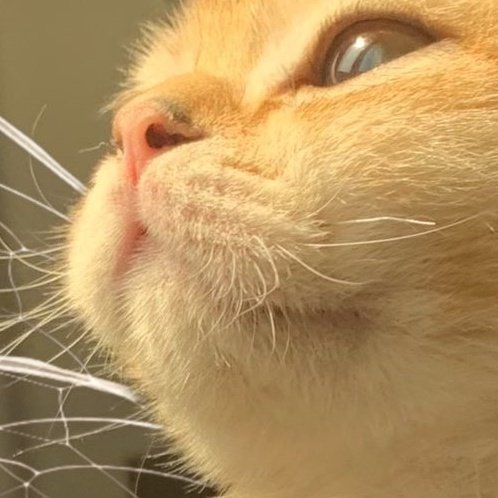 gummysmilelover's tweet image. 