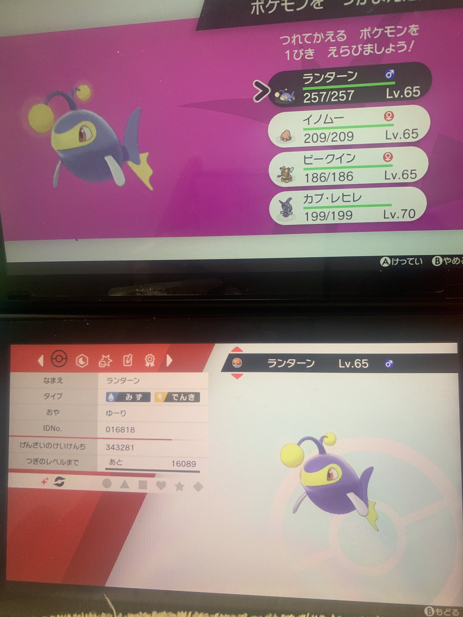 黒糖 ランターン色違い ポケモン剣盾 T Co Rvbb1gxxkv Twitter