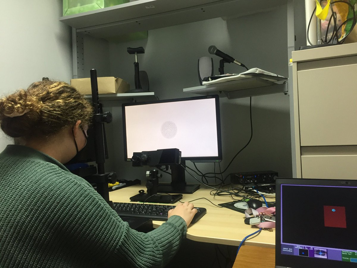 Chloe Brittenham tweet media